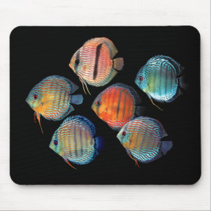 Wild Discus Mouse Pad