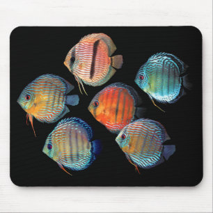 Wild Discus Mouse Pad