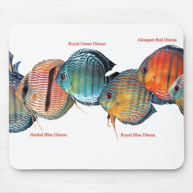 Wild Discusfishのマウスパッド Mouse Pad (Front)