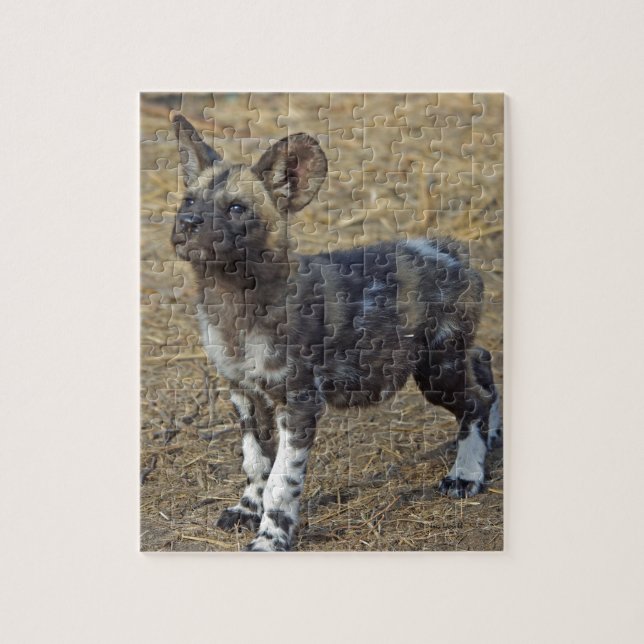 Wild Dog Puppy Jigsaw Puzzle (Vertical)