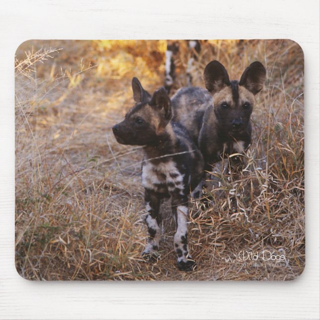 Wild Dogs Mousepad (Front)