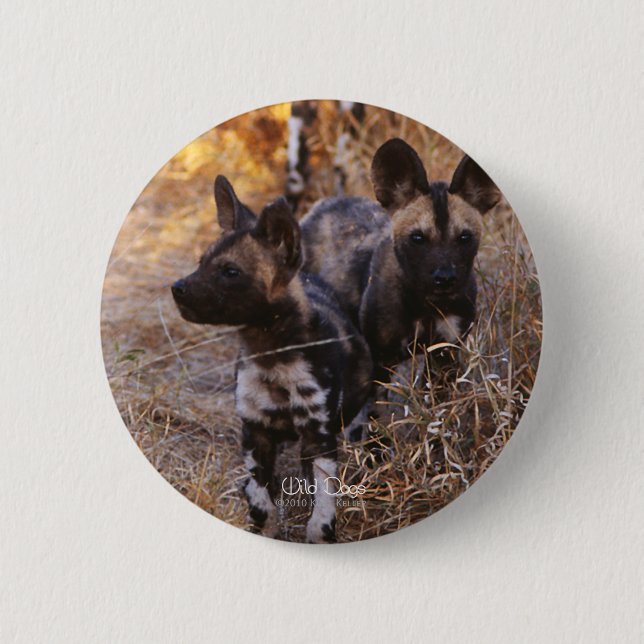 Wild Dogs round button (Front)