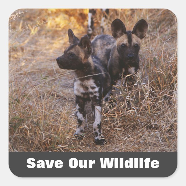 Wild Dogs Save Our Wildlife Square Sticker (Front)