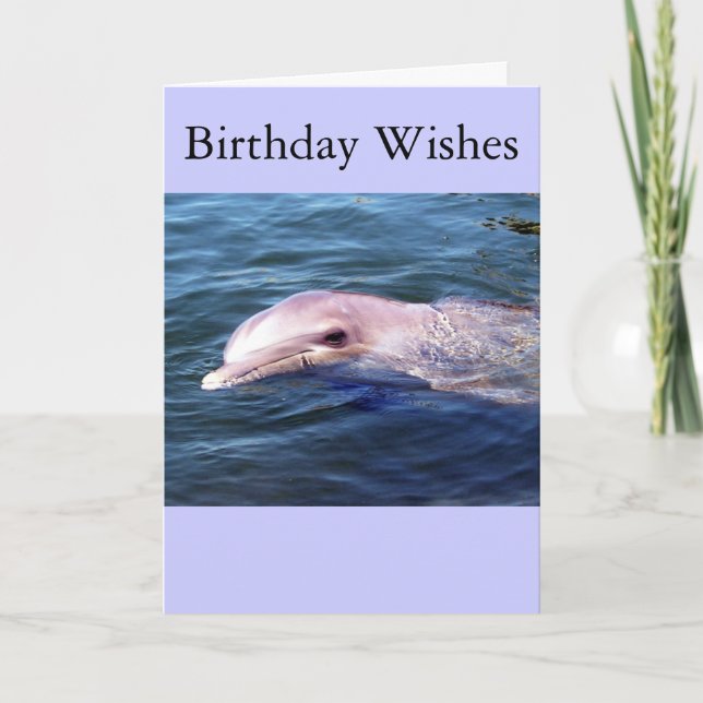 Wild Dophin Card (Front)