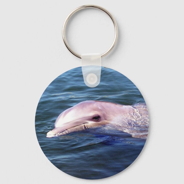 Wild Dophin Keychain (Front)