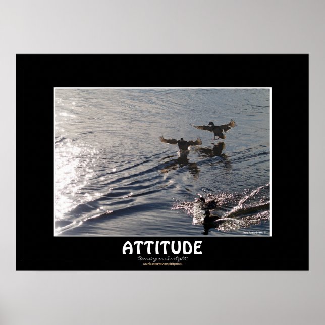 Wild Duck ATTITUDE Motivational Nature Photo Print (Front)