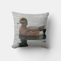 Wild Duck Lake Water Relaxed Brown Bird