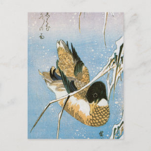 Wild Duck Swimming Snow Laden Reeds by Hiroshige Postcard