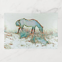Wild dune horse grazing Trinket Trays