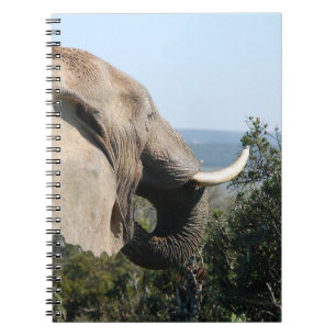 Wild Elephant Eating, South Africa Notebook
