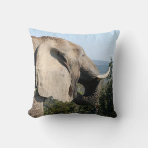 Wild Elephant Eating, South Africa Throw Pillow