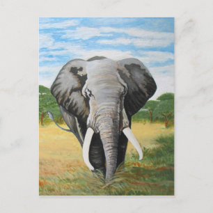 Wild Elephant Postcard