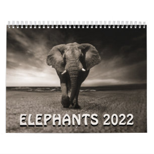 Wild Elephants 2022 Calendar