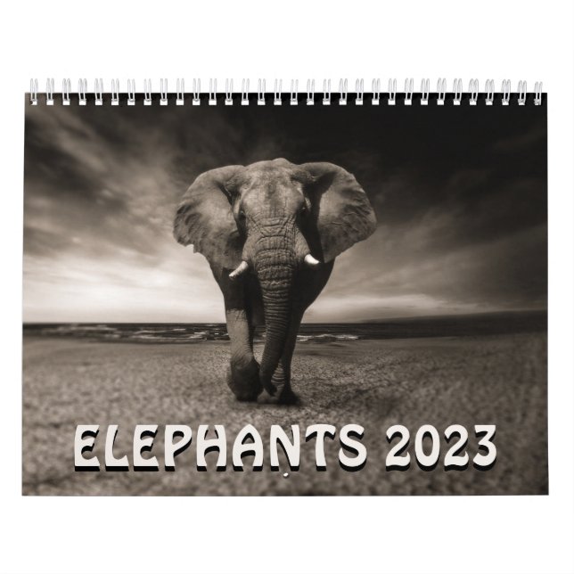 Wild Elephants Calendar (Cover)