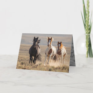 Wild Family Runs Horse Greeting Card