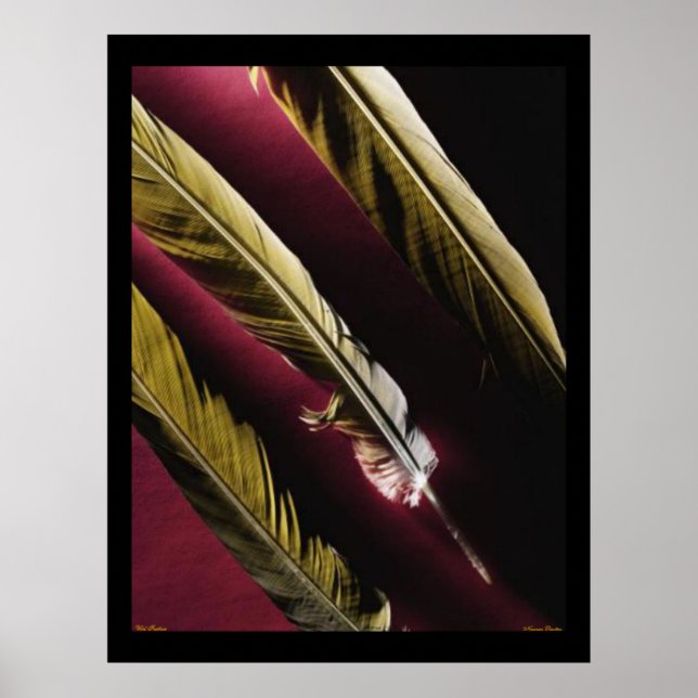 Wild Feathers Poster (Front)