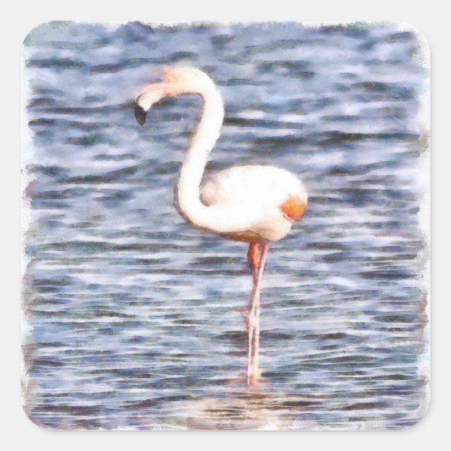 Wild Flamingo Square Sticker (Front)