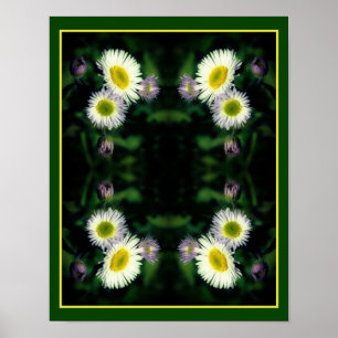 Wild Fleabane Daisy Flower Close Up Abstract Poster