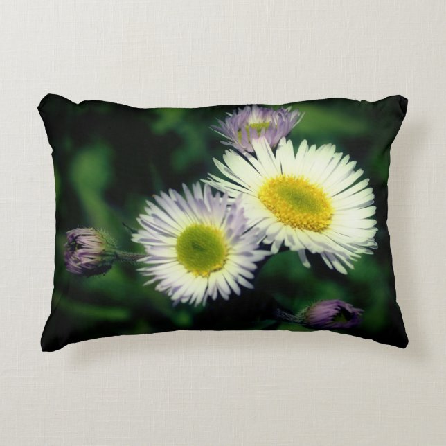 Wild Fleabane Daisy Flower Close Up  Accent Pillow (Front)