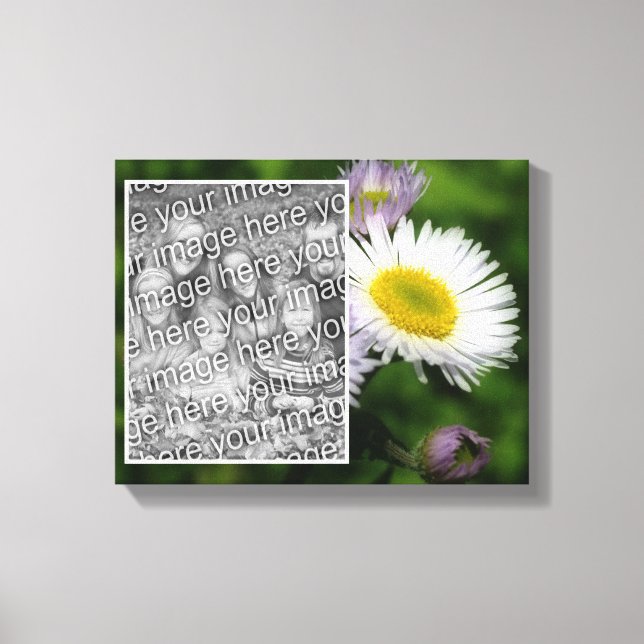 Wild Fleabane Daisy Flower Create Your Own Photo Canvas Print (Front)