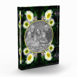 Wild Fleabane Daisy Flower Frame Add Your  Photo Block