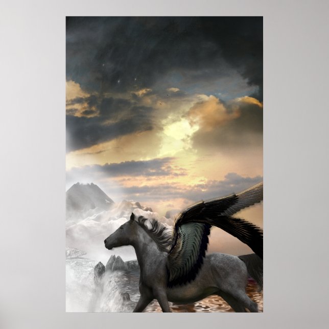 Wild Flier Poster (Front)