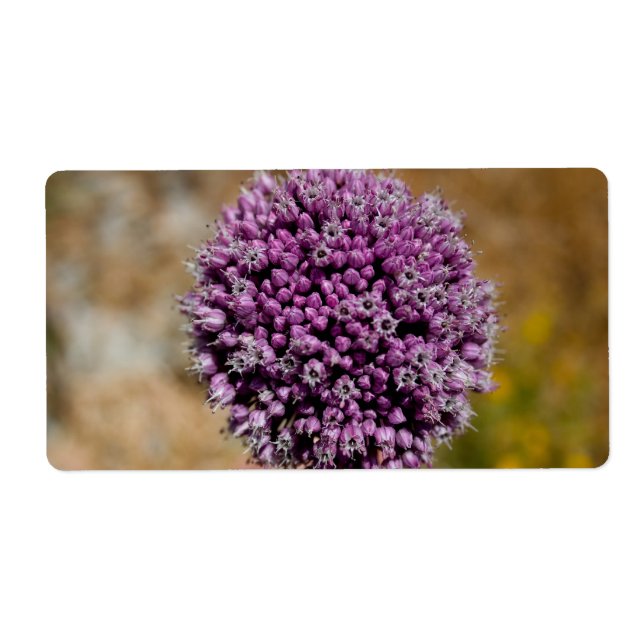 Wild Flower (Front)