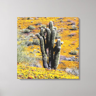 Wild Flower bloom Canvas Print