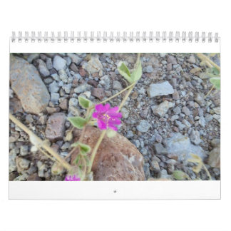 wild flower calender calendar