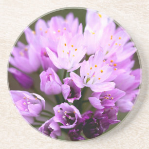 Wild Flower Coaster