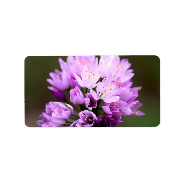 Wild Flower Label (Front)