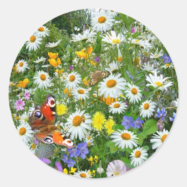 Wild Flower Meadow Classic Round Sticker (Front)