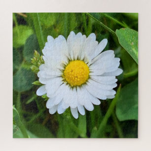 Wild Flower Romania – Botanical Macro Photography Jigsaw Puzzle