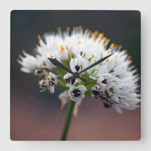 Wild Flower Square Wall Clock