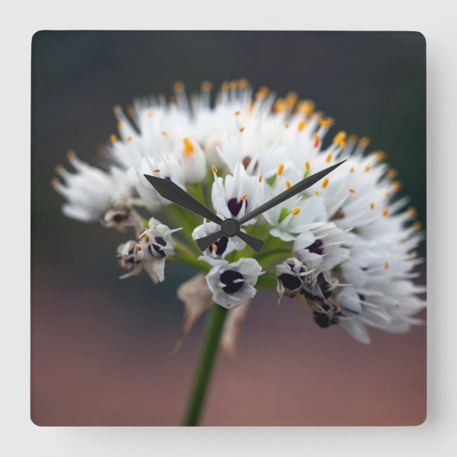 Wild Flower Square Wall Clock (Front)