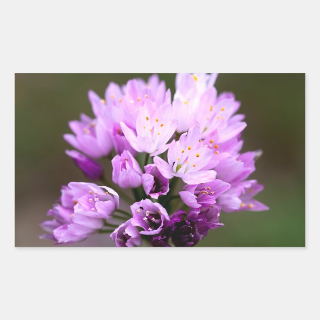 Wild Flower Sticker (Front)