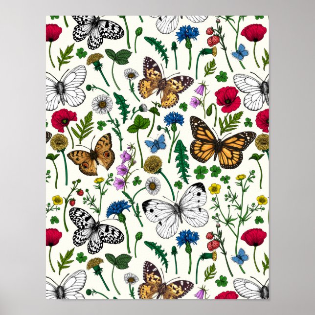 Wild flowers and butterflies on white poster (Front)