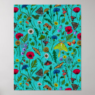 Wild flowers and moths poster