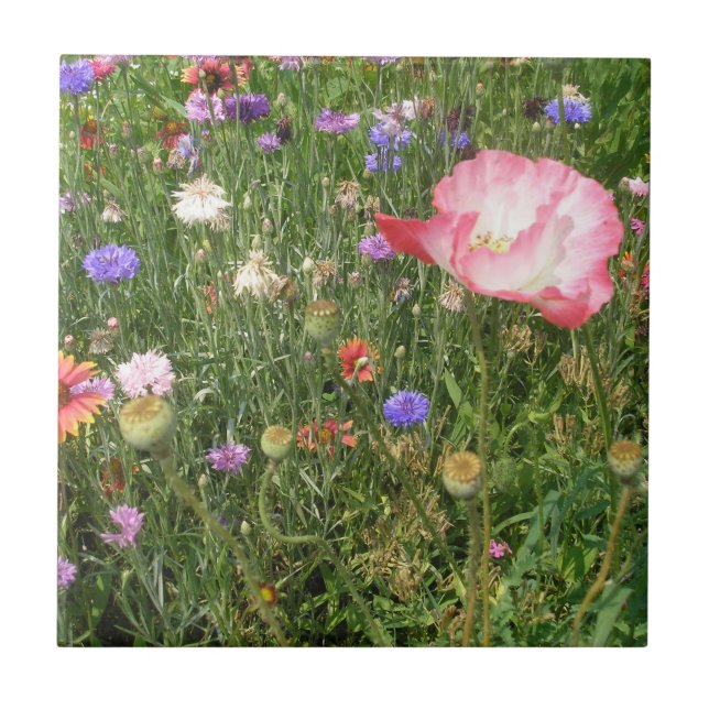 Wild Flowers Ceramic Tile (Front)