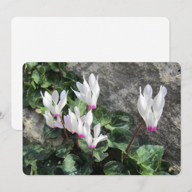 Wild Flowers Flat Holiday Card (Front/Back)