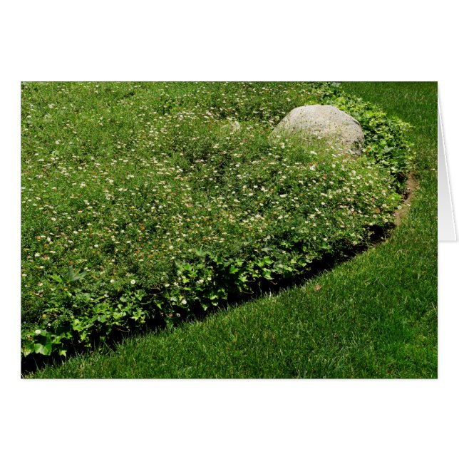 Wild Flowers Green Grass (Front Horizontal)