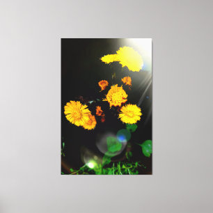 Wild flowers in the sunshine canvas print