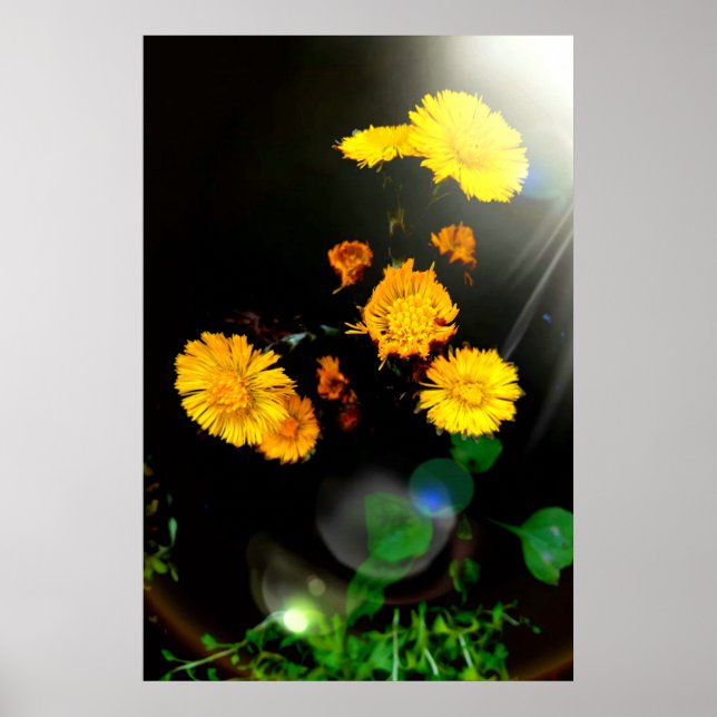 Wild flowers in the sunshine poster (Front)