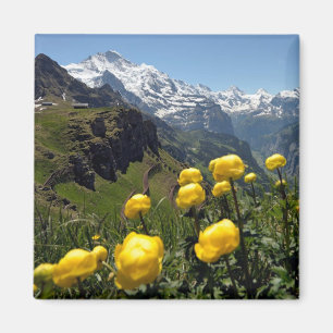 Wild flowers Jungfrau region Magnet