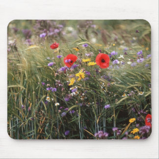 Wild flowers mouse pad