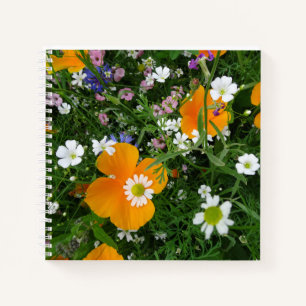Wild Flowers: Orange White Pink Notebook