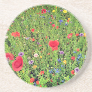 Wild flowers Spring Photo Sandstone Drink Coaster