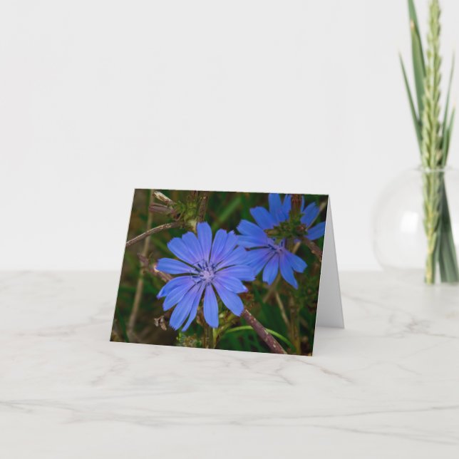 Wild flowers thank you card (Front)