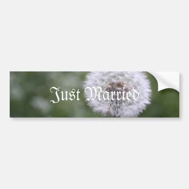 Wild Flowers Wedding Invitations and Favours Bumper Sticker (Front)