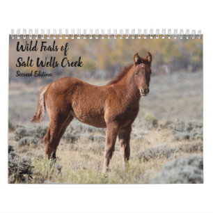 Wild Foals of Salt Wells Creek Calendar